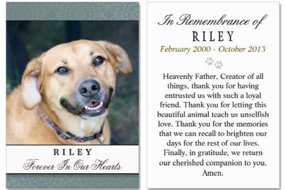 pet-memorial-card-teal-green-photo-small