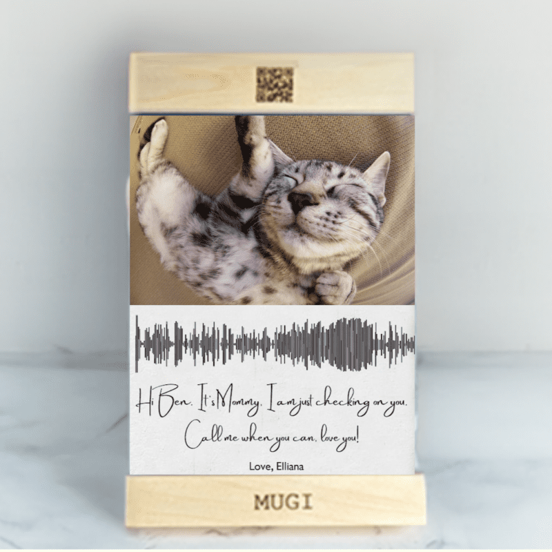 cat sounds800